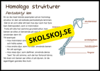 Grundläggande evolution - Årskurs 6 - 9