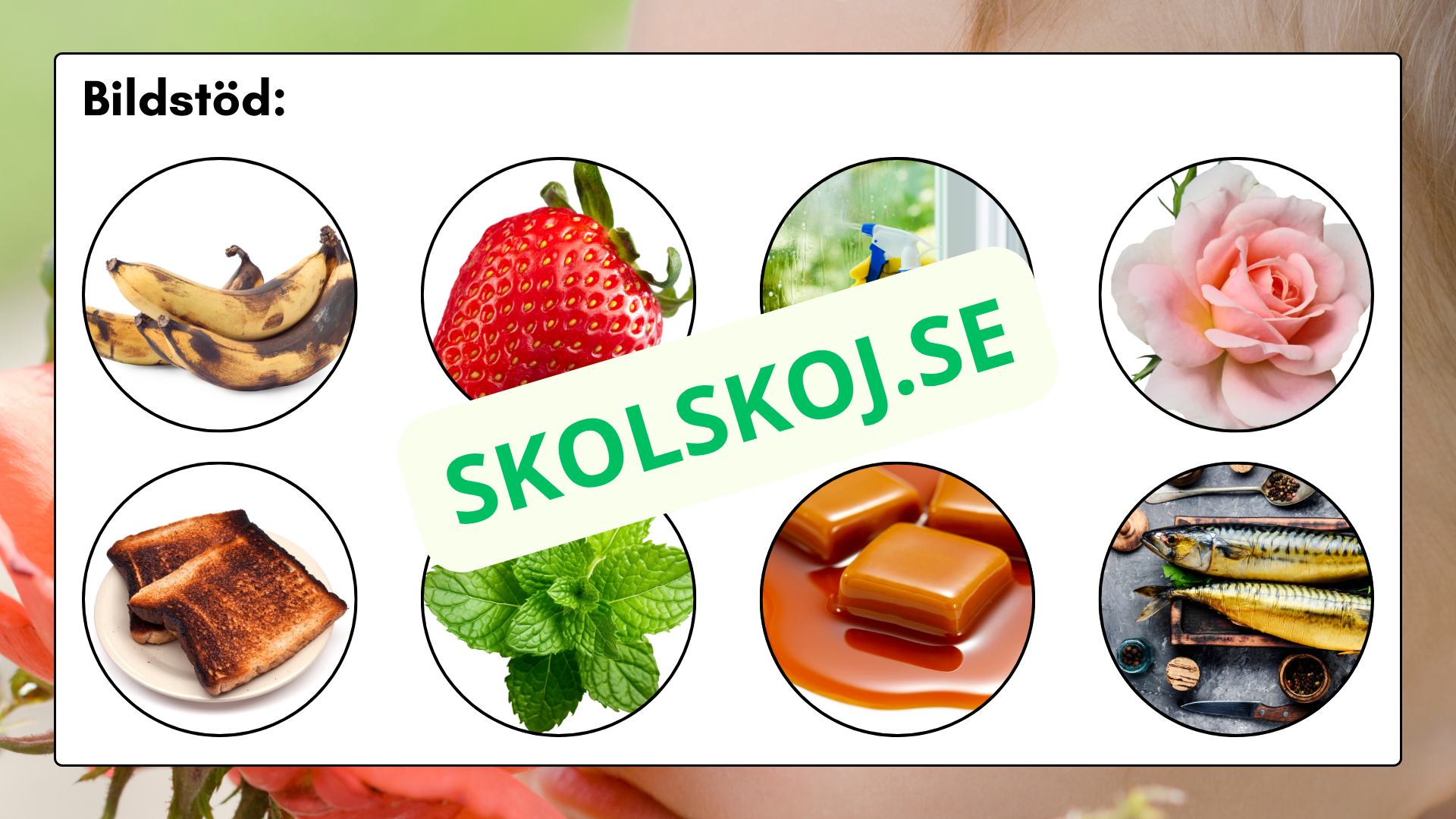 Våra fem sinnen - Presentation