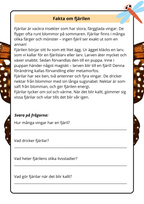 Lilla boken om viktiga insekter - Årskurs 2 - 4