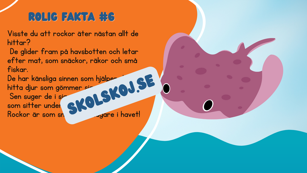 Roliga havsdjursfakta + roliga uppgifter