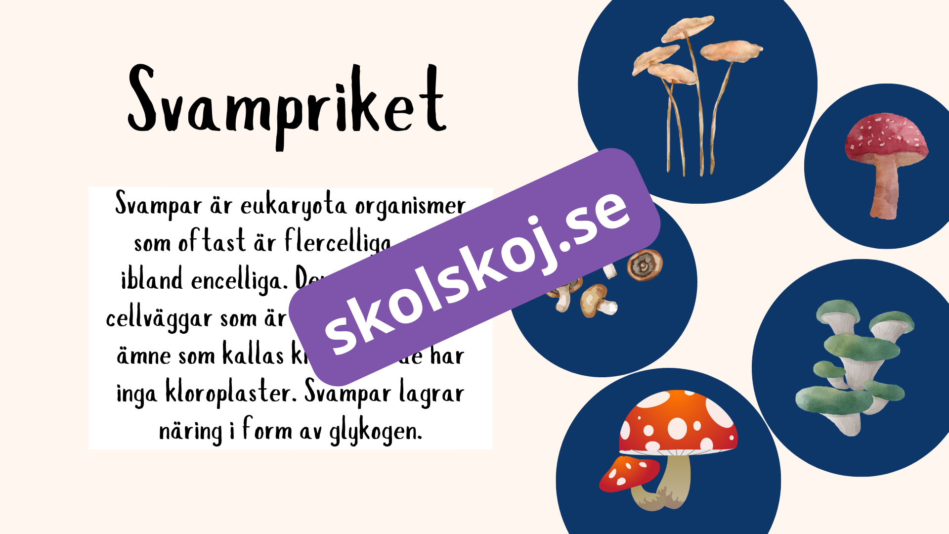 De fem rikena och deras egenskaper - Lektionsstöd och presentation