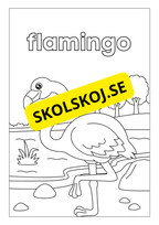 Djurens livsmiljöer - Målarbok (45 sidor)