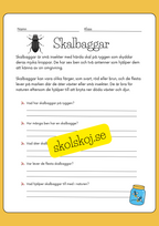 Enkel läsförståelse - Tema insekter