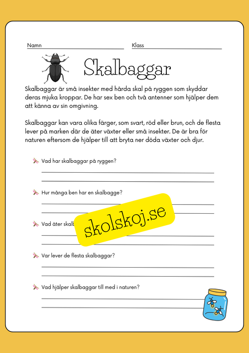 Enkel läsförståelse - Tema insekter