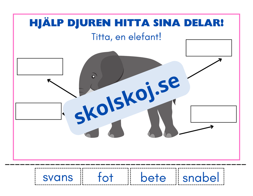 Hjälp djuren hitta sina delar - Häfte