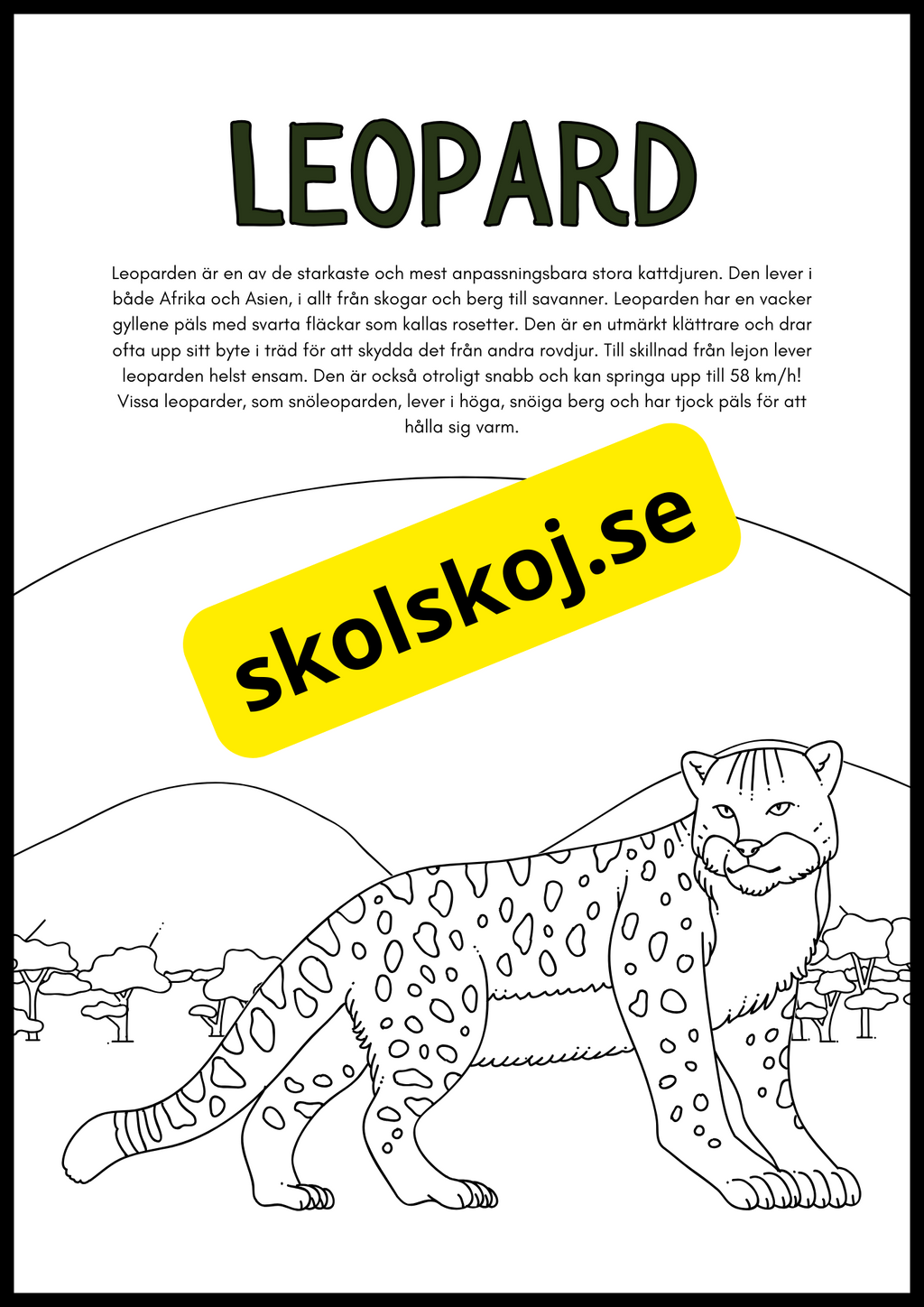 Vilda djur fakta och målarbilder