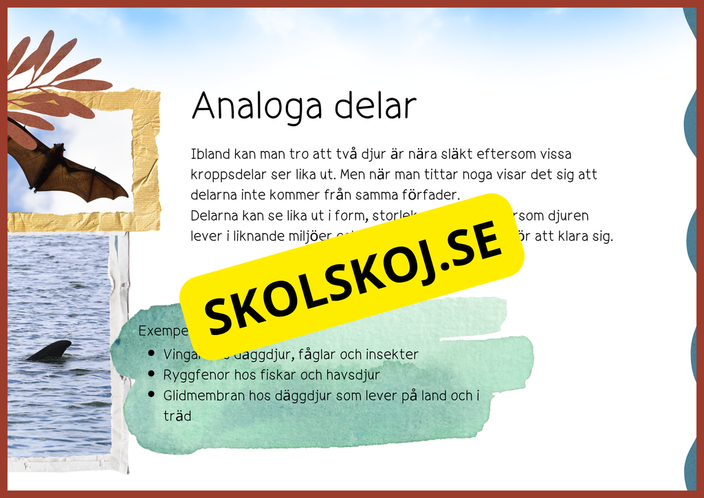Evolution - Faktatext + frågor