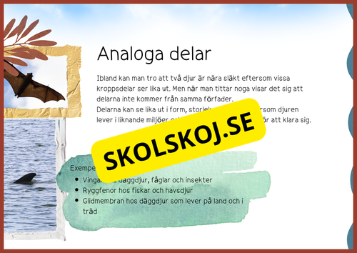 Evolution - Faktatext + frågor