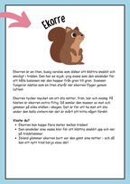 Skogens djur - Fakta och läsförståelse (19 sidor)