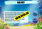Kort fakta om naturmiljöer och djurens hem + frågor