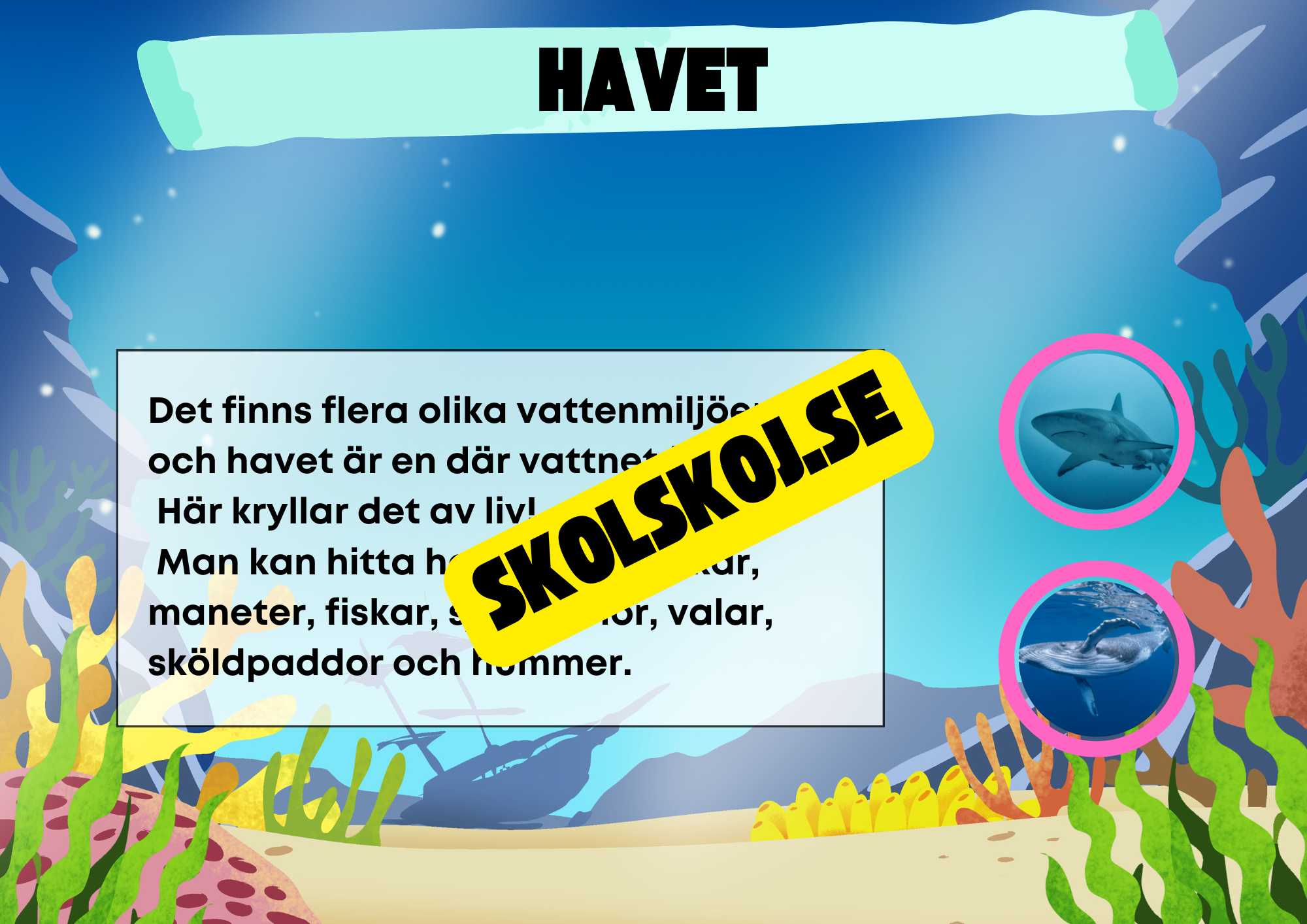 Kort fakta om naturmiljöer och djurens hem + frågor
