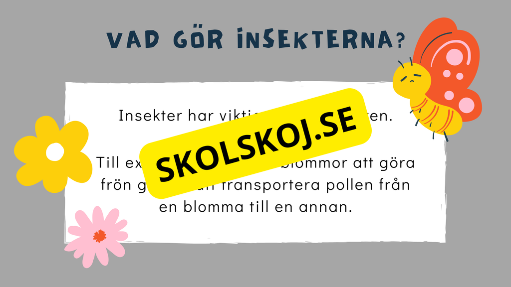 Upptäck insekternas värld - Häfte