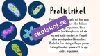 De fem rikena och deras egenskaper - Lektionsstöd och presentation