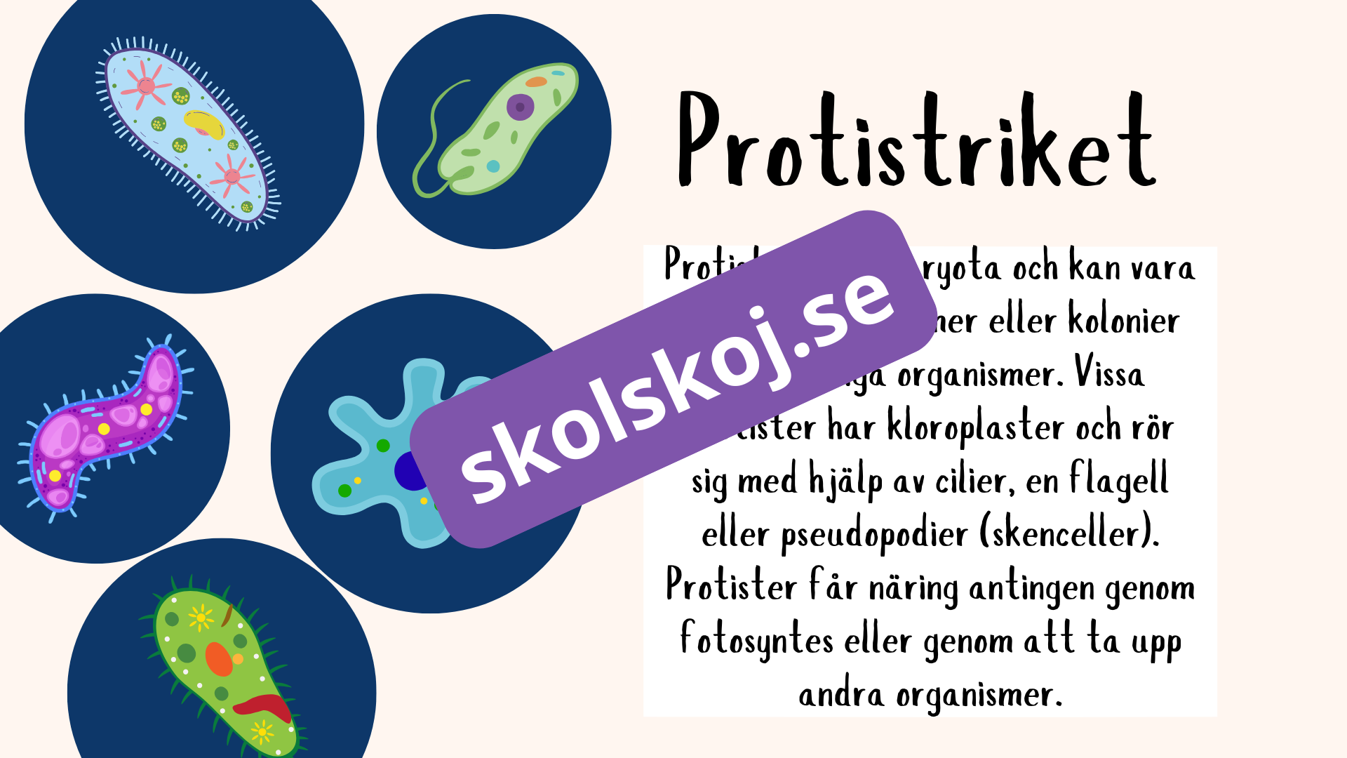 De fem rikena och deras egenskaper - Lektionsstöd och presentation