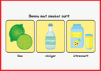 Smaksinnet - Presentation + Frågor (19 sidor)