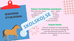 Evolution - Bevisen för hur livet förändras - Årskurs 7 - 9