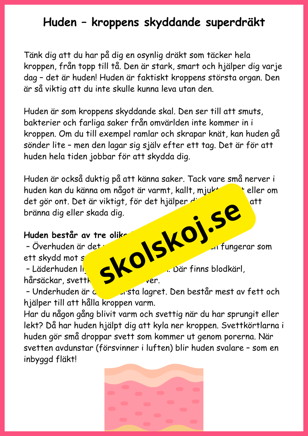Utforska kroppen från topp till tå - Fakta + frågor - Årskurs 4 - 6