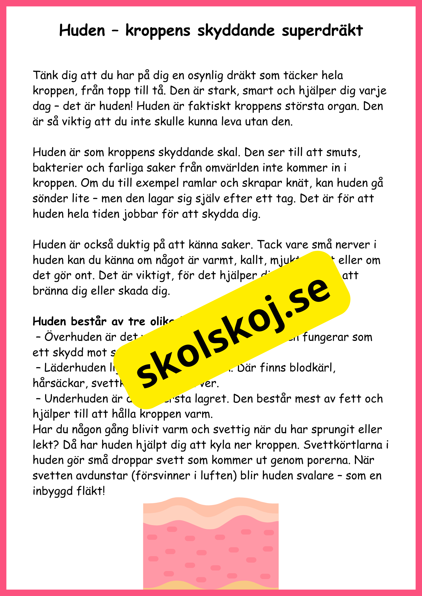 Utforska kroppen från topp till tå - Fakta + frågor - Årskurs 4 - 6