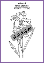 Målarbok - Tema blommor