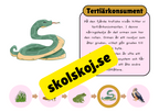 Näringskedjor - Ekosystem och livsmiljöer
