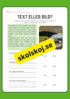Text eller bild - Läsförståelse