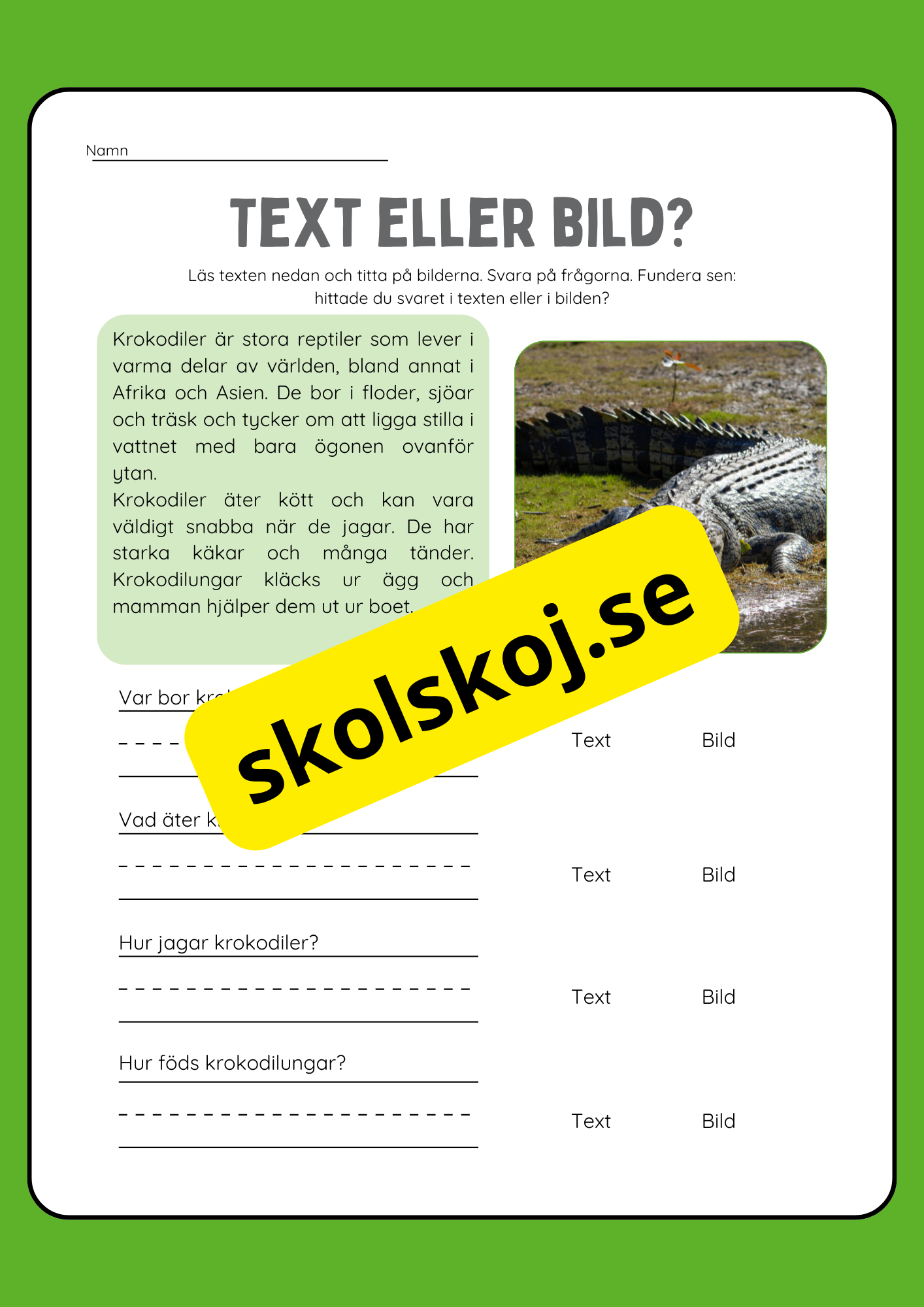 Text eller bild - Läsförståelse