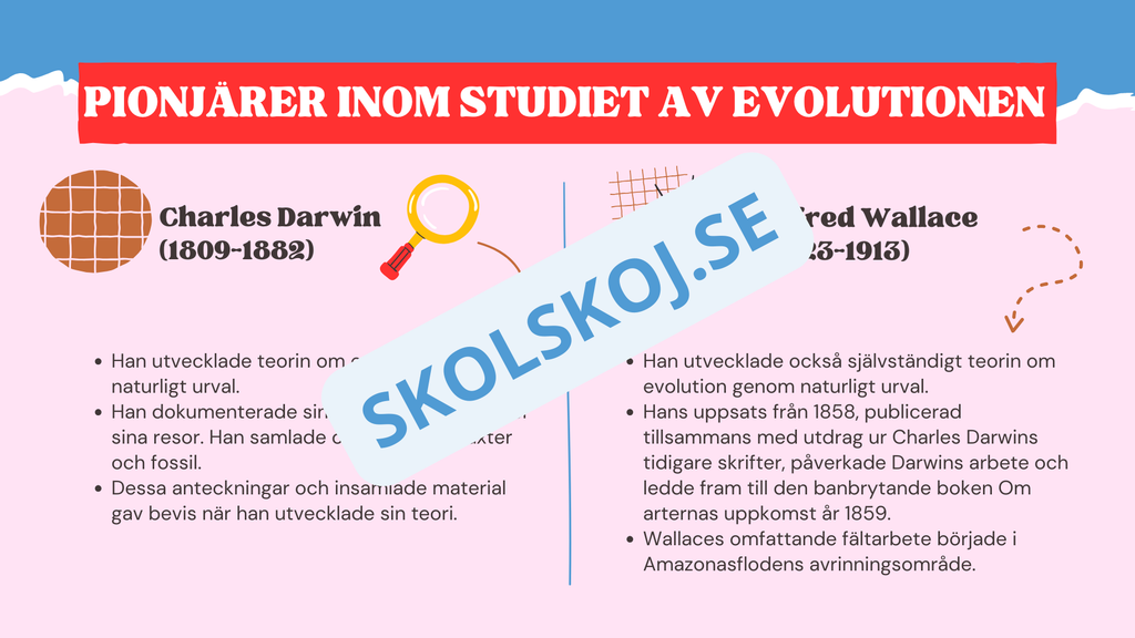 Evolution - Bevisen för hur livet förändras - Årskurs 7 - 9