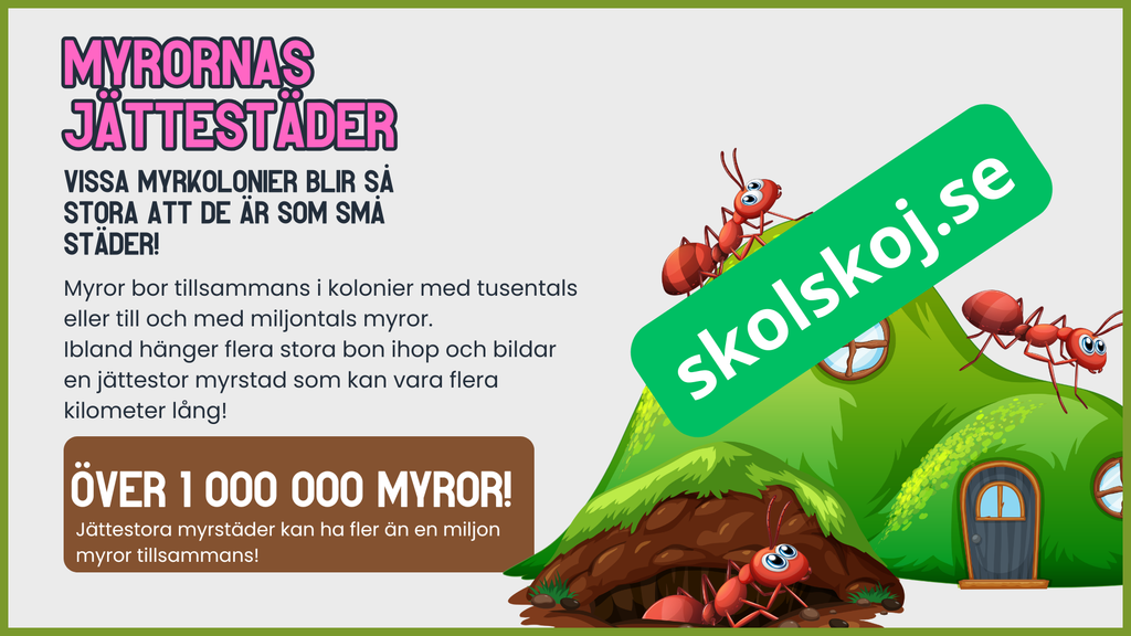 7 superroliga saker du inte visste om myror