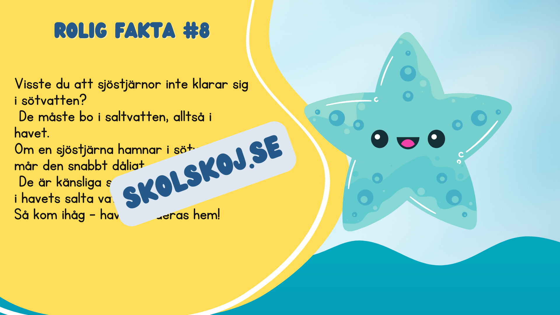 Roliga havsdjursfakta + roliga uppgifter