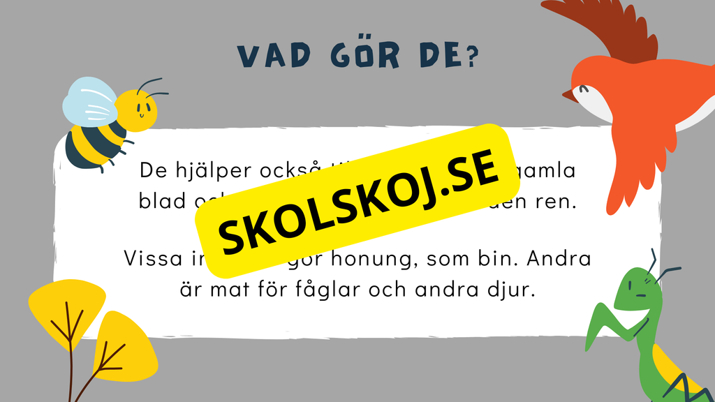 Upptäck insekternas värld - Häfte