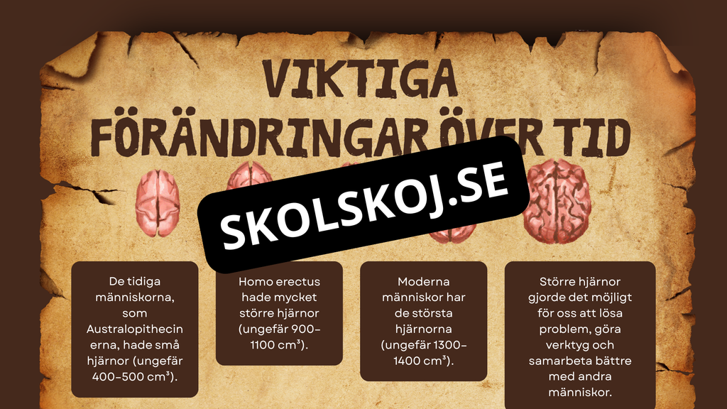 Människans utveckling - Fakta - Presentation - Frågor