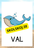 Havsdjur - Bildkort