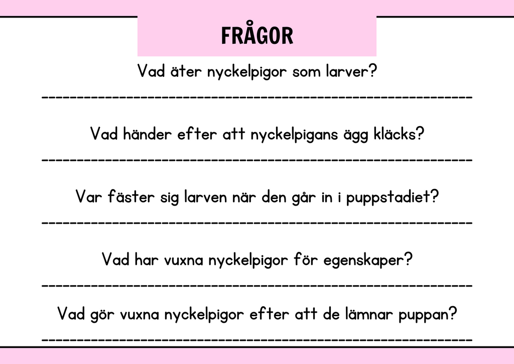Nyckelpigans livscykel + Uppgifter - Årskurs 1 - 2
