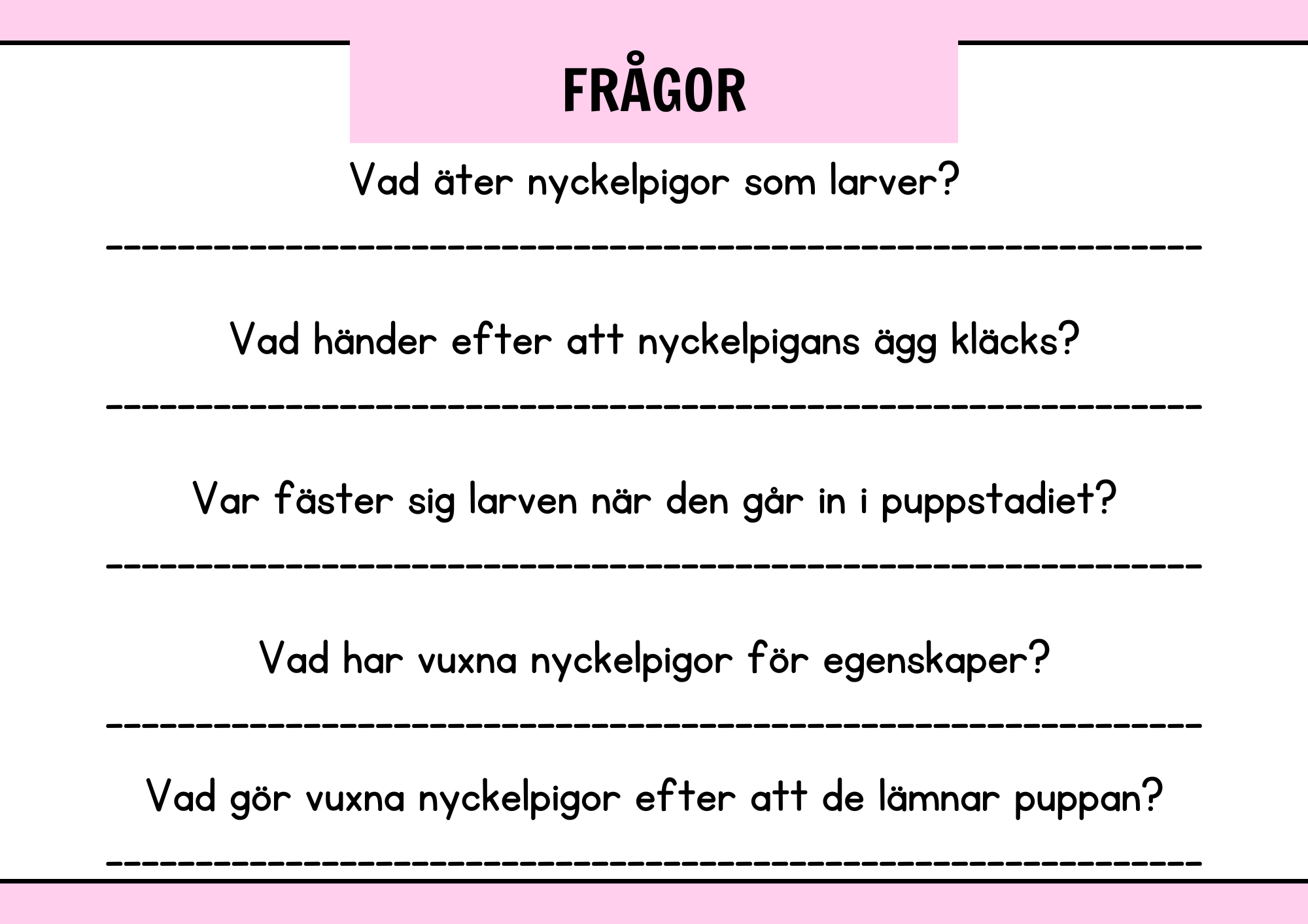 Nyckelpigans livscykel + Uppgifter - Årskurs 1 - 2