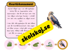 Näringskedjor - Ekosystem och livsmiljöer