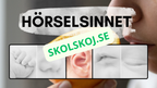 Våra fem sinnen - Presentation