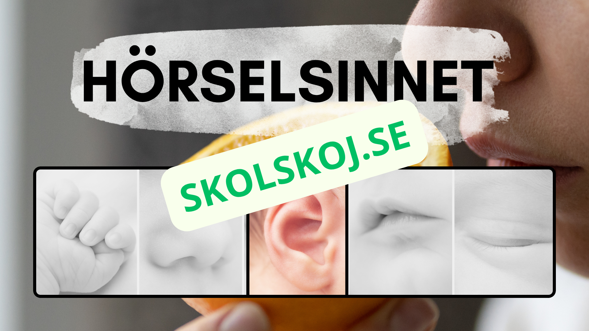 Våra fem sinnen - Presentation