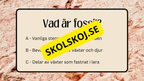 Fossiler - Åk 4 - 9