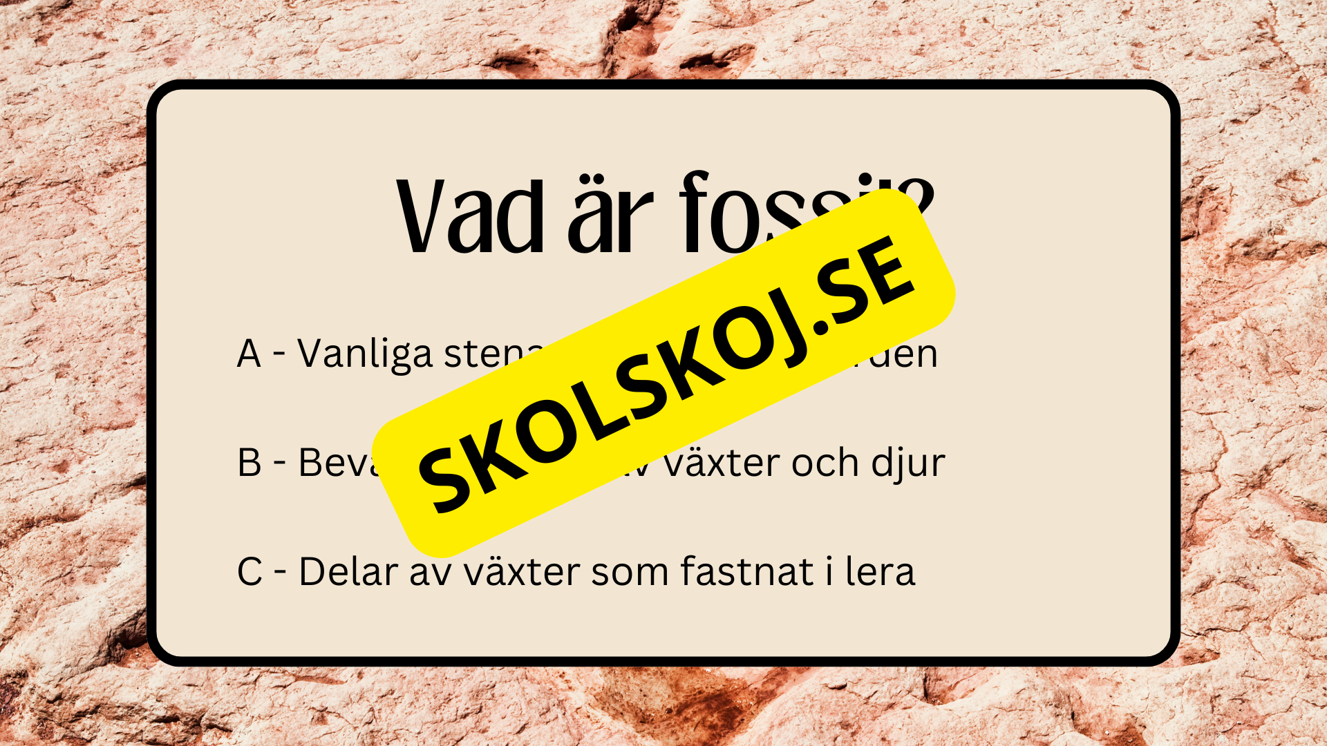 Fossiler - Åk 4 - 9