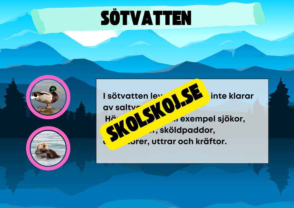 Kort fakta om naturmiljöer och djurens hem + frågor