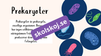 De fem rikena och deras egenskaper - Lektionsstöd och presentation