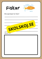 Klassificering av djur - Fakta och uppgifter - Åk 3 - 6