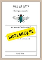 Vad är det? - Insekter - Faktabok