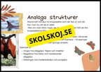 Grundläggande evolution - Årskurs 6 - 9