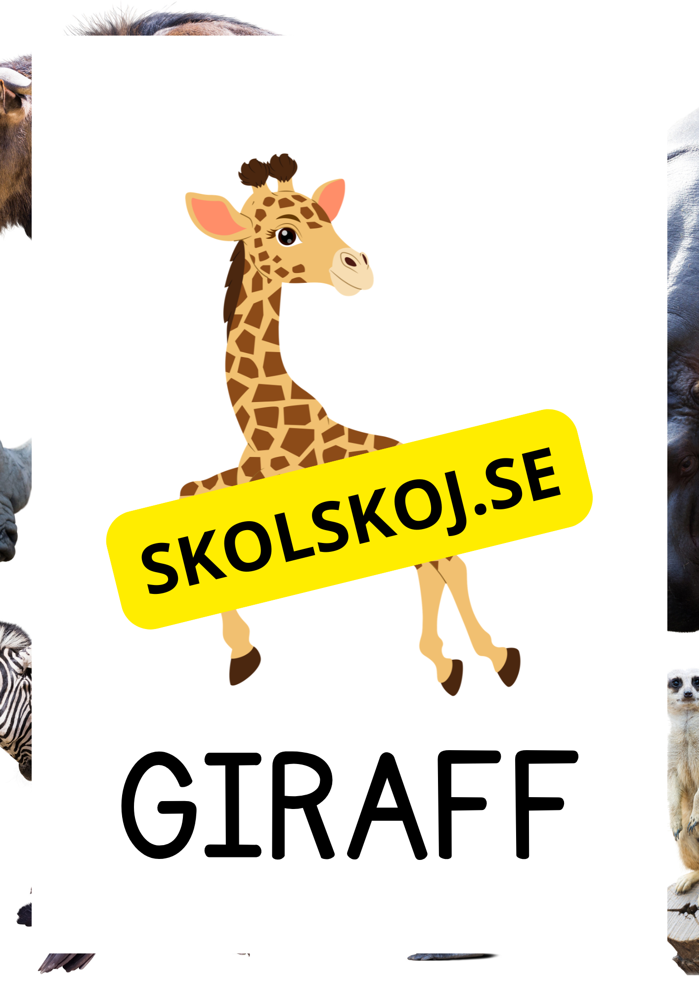 Vilda djur - Bildkort