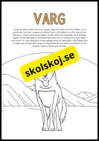 Vilda djur fakta och målarbilder