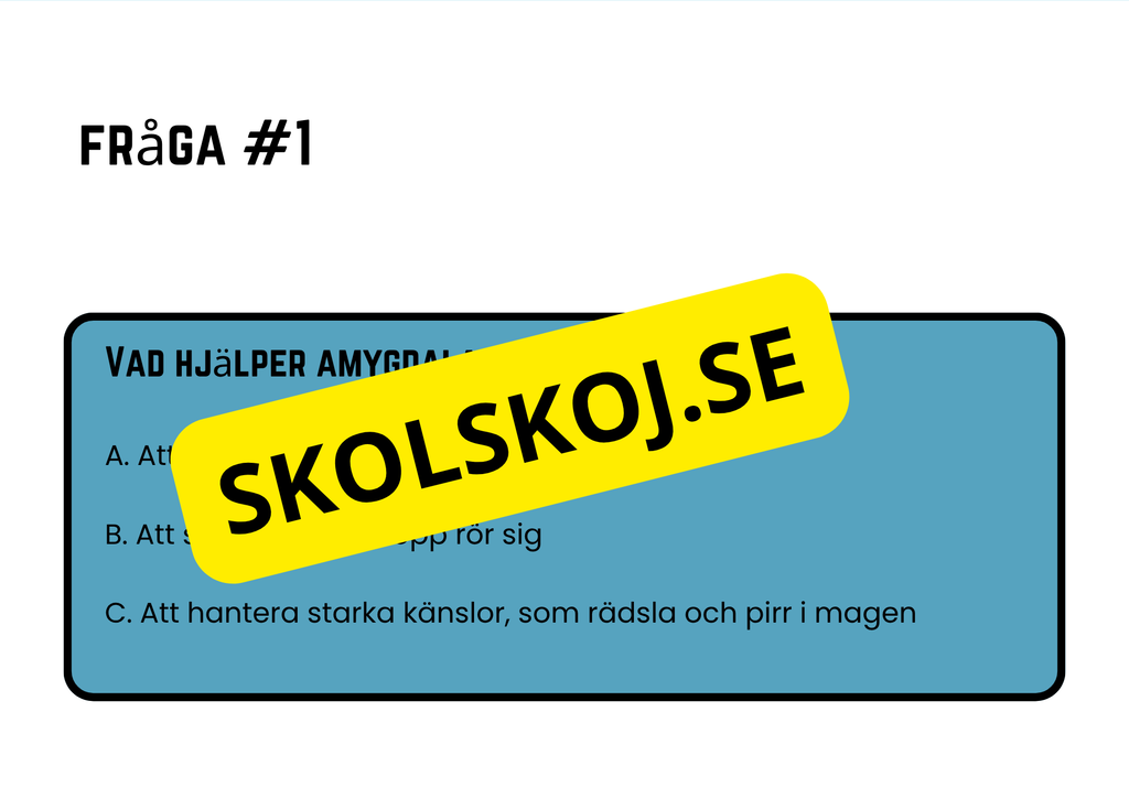 Förstå din hjärna - Årskurs 4 - 6