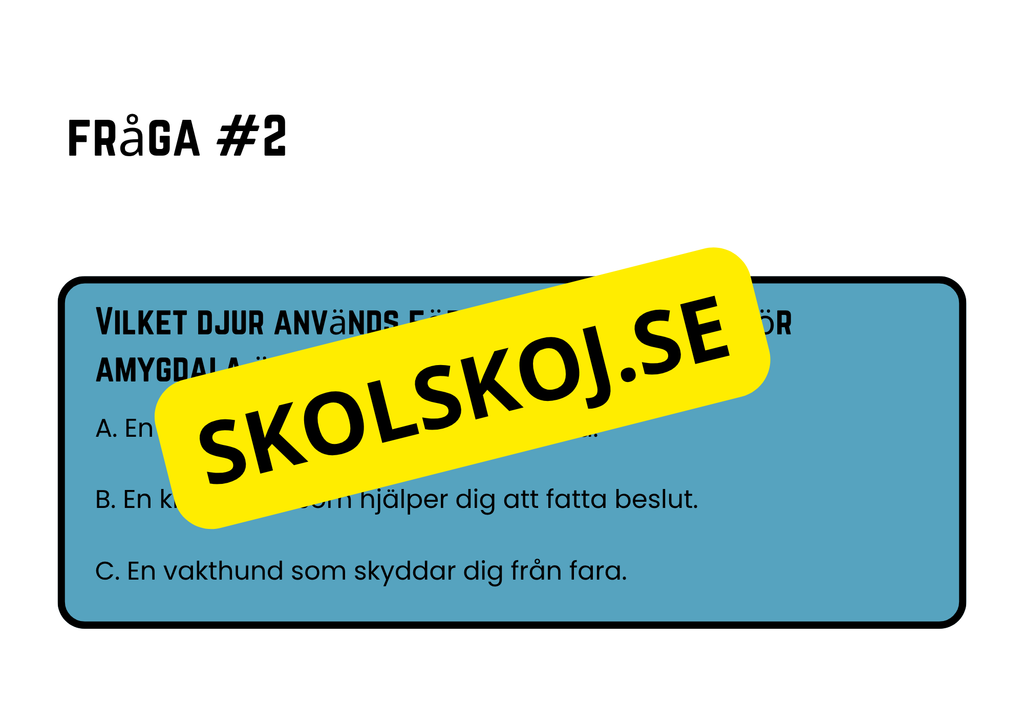 Förstå din hjärna - Årskurs 4 - 6