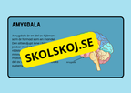 Förstå din hjärna - Årskurs 4 - 6