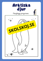 Arktiska djur - Målarbok